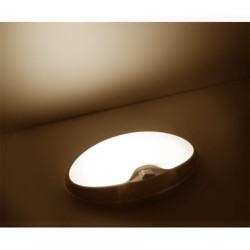 interior ceiling light