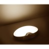 interior ceiling light