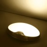 oval ceiling lights