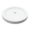 LED Round Ceiling Light